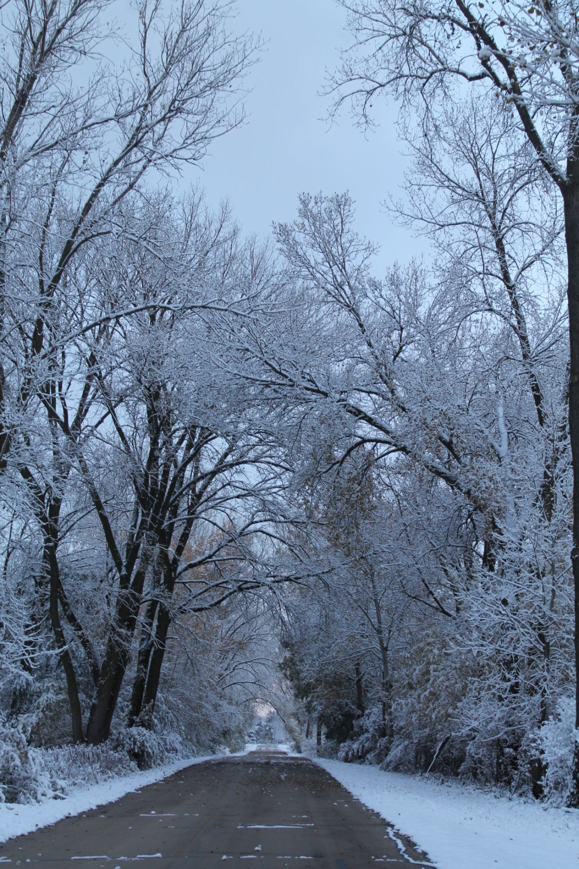 102919 snow 016.JPG